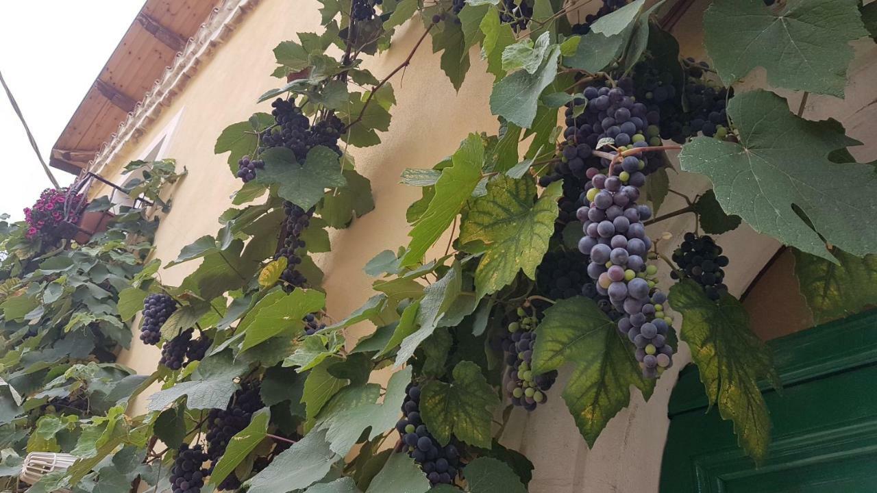 Scaccia Pensieri Vila Cerchio Exterior foto